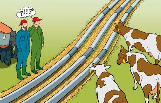 Welke impact heeft nieuwe waterstofleiding op agrarisch ondernemers?