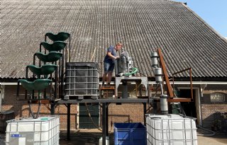 Bij Klompe Landbouw maken planten bodem die planten voedt