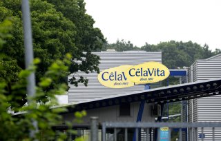 Aardappeltelers vrezen financiële strop na bankroet CêlaVíta