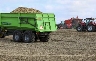 Belpotato roept op te focussen op kwaliteit in plaats van kilo's