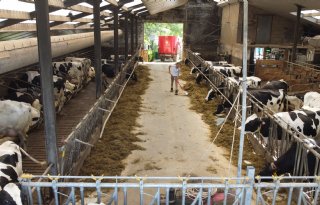 Warmerdam runt melkveebedrijf tussen de heuvels, met focus op diergezondheid