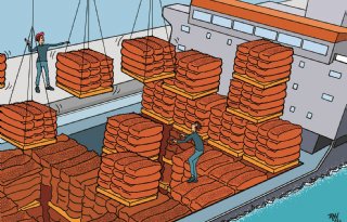 Grote exportvraag houdt uienafzet in de benen