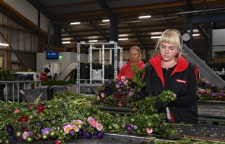 'Ik wil tijd overhouden om in de grond te kunnen wroeten'