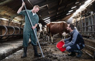 Veehouder kan geld besparen met hogere nutriëntenwaarden in mest