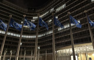 LTO wil harde garanties voor negatieve effecten Mercosur