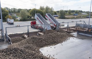 Lagere+producties+moeten+suikermarkt+uit+dal+halen
