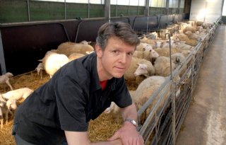 Verduin stopt als voorman schapenhouderij