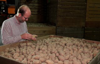 Aardappelteler Matthijs Gebbink gaat voor toekomstbestendig bedrijf