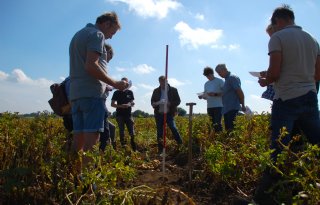 Oss wil kringloop verder sluiten met renure