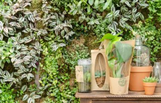 Groot plantenbedrijf Bunnik Group trekt de stekker eruit