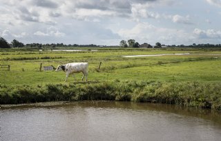 Vijfjarige pilot natuurinclusieve landbouw levert 45 contracten op