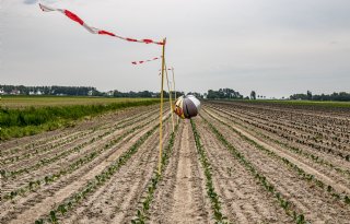 Provincies verwachten weer forse toename faunaschade: 118 miljoen euro