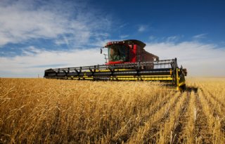 Amerikaanse boeren vrezen landbouwcrisis