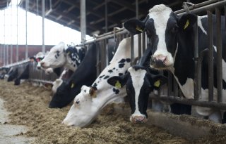 Biovergister en fokkerij geven Duits melkveebedrijf stabiele basis