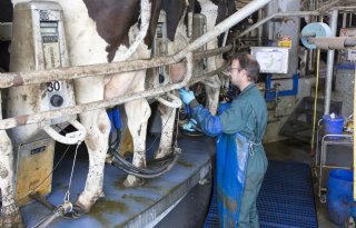 'Breng intensief melkveebedrijf positiever in beeld in de media'