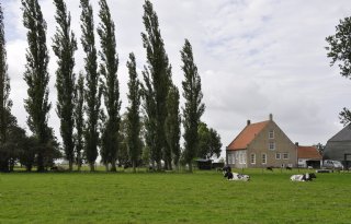 Zeeland trekt portemonnee voor beëindigen veehouderijen nabij natuur