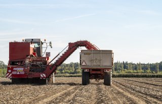 Driekwart aardappelen uit de grond