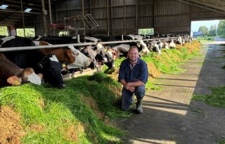 Yke Bijlstra nieuwe voorman Friese agrarische jongeren