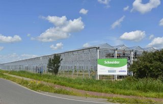 Plantenkweker Schneider Youngplants failliet verklaard