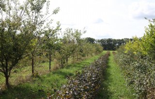 Schevichoven helpt boeren bij omschakeling: 'Wij willen dezelfde pijn voelen'