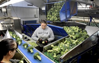 'Ik kom er zonder problemen uit met de wensen van Urgenda'