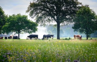 Boeren en tuinders zelf aan zet: nieuwe experimenteerlocaties voor toekomstgerichte landbouw