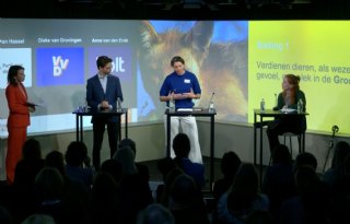 Moeten de rechten van dieren in de Grondwet?