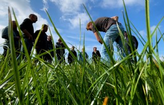 Tomorrow's Dairy: samen werken aan gezonde bodem en schoon water