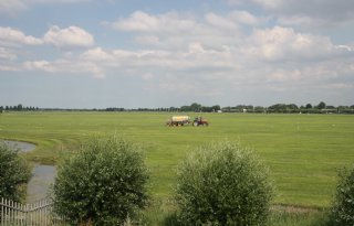Nieuwe waterberging Delfland mogelijk in agrarisch gebied