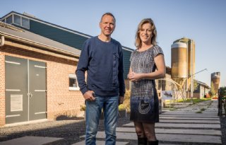 'Stabiel rantsoen is basis voor gezonde koeien met langere levensduur'