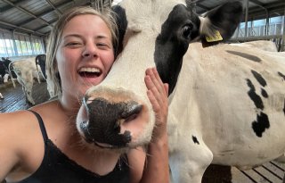 Sabine van der Horst verruilt Scapino voor koeien