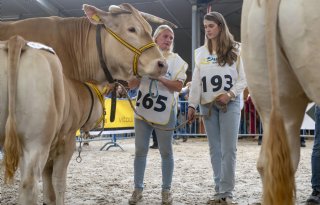 Koe van familie Visscher scoort excellent in Mariënheem