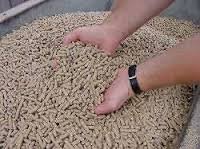 497 melkveebedrijven geblokkeerd vanwege aflatoxine in mengvoer