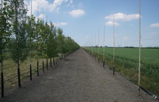 Noten hebben toekomst in boerenbedrijf