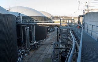 Gelderland had natuurvergunning voor mestvergister niet mogen verlenen