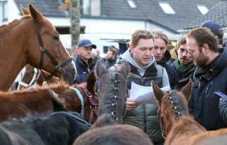 Vlotte handel in Hedel op markt met minder paarden