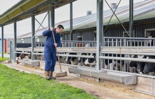 Kalverhouder test uitloop en boekt veelbelovende resultaten