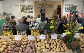 Plantera zet aardappelras Oscar in het zonnetje