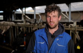 Minder zieke kalveren door slimme vaccinatiestrategie