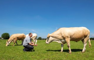 Harm's Hoeve ontvangt bronzen vlag voor visie rond open boerderij