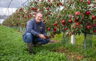 'We zullen ons als telers moeten aanpassen'