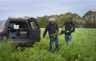 Preventieve basis helpt bij biologische bestrijding