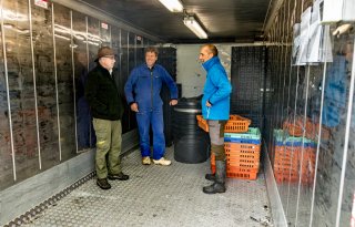 Koeling geeft ganzenbestrijding meerwaarde