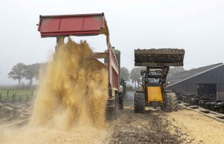 Bieten+en+maiskolvenschroot+vormen+energierijk+voer