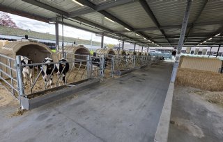 Melkveestal doet al elf jaar onderzoek naar milieu, welzijn en diergezondheid