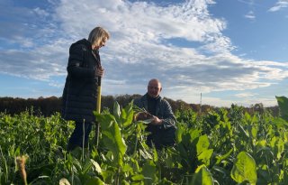 'Ons programma wil een vliegwiel zijn voor regeneratieve landbouw'