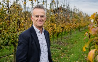 NFO-voorzitter Kusters: 'Ook zonder etiket weet iedereen dat fruit gezond is'