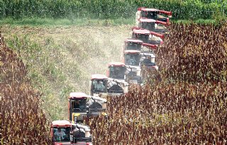 'Geopolitiek bepaalt in 2026 de wereldwijde landbouw, niet de markt'