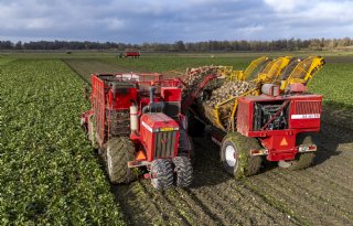 Bietenlimo een beetje vreemd maar wel lekker voor de bodem