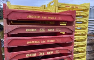 Gat in opkweek biologische planten dreigt door plots staken Jongerius